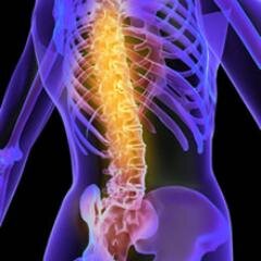 We design websites for Chiropractors for FREE, Yes FREE
