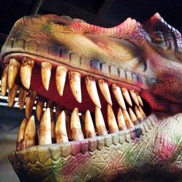 #ExtremeDinos Extreme Dinosaurs features some of the newest dinosaur discoveries from this ‘Golden Age’ of paleontology...A treat for the entire family!