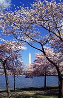 connecting to my fellow DCers, following the world