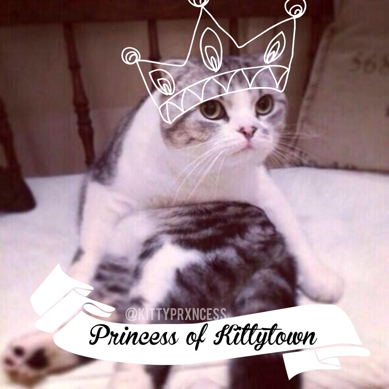 Who's the Princess of Kittytown?
