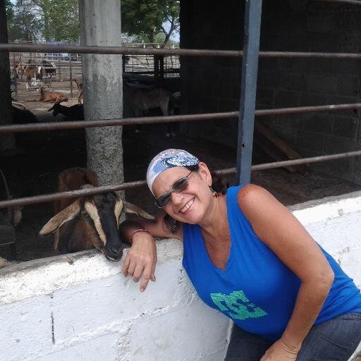 hildemarlopezg's profile picture. 