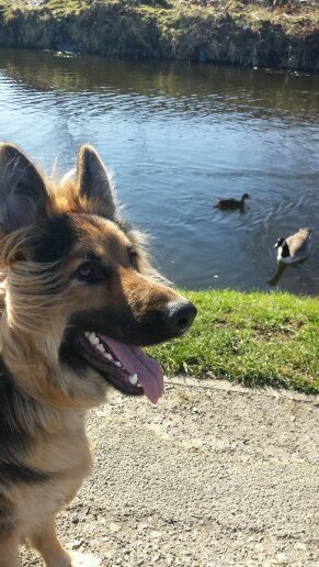 HB4RON's profile picture. 