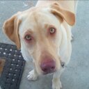 Shelly McLean - @s_mclean23 - Twitter