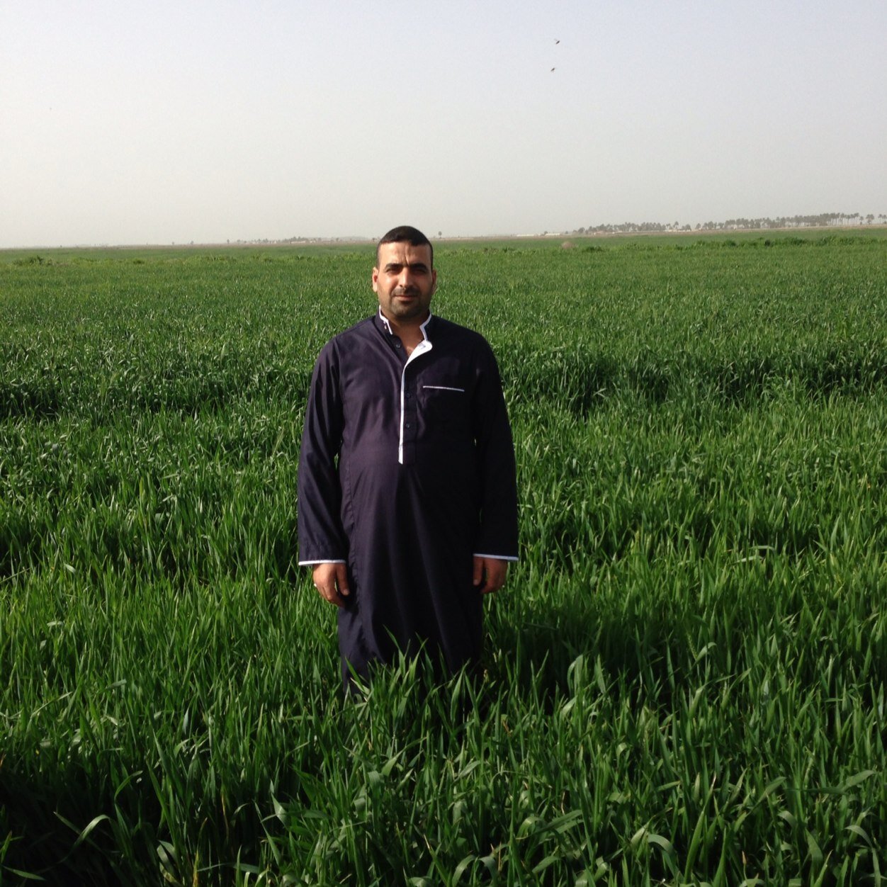 ahmed__sm__2010's profile picture. 