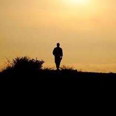 David_Erera's profile picture. Les religions sont comme des routes différentes  Qu'importe que nous empruntions des voies différentes, pourvu que nous arrivions au même but.
