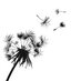 Prairie Path Books (@prairiepathbook) Twitter profile photo