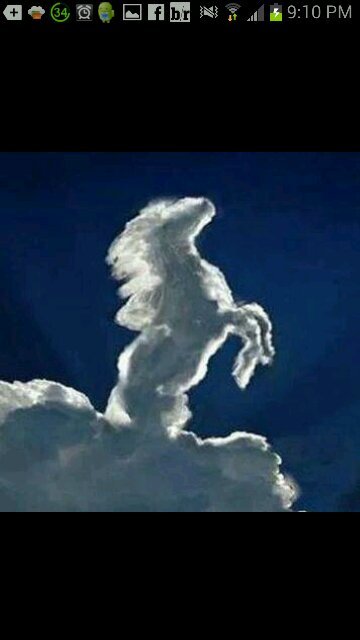 LOVE COLTS, PACERS! DIEHARD FAN! But most of all... ABOVE ALL ELSE.....I LOVE MY LORD & SAVIOR JESUS CHRIST