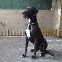 Pablo Hernando - @Pablohb1Pablo - Twitter