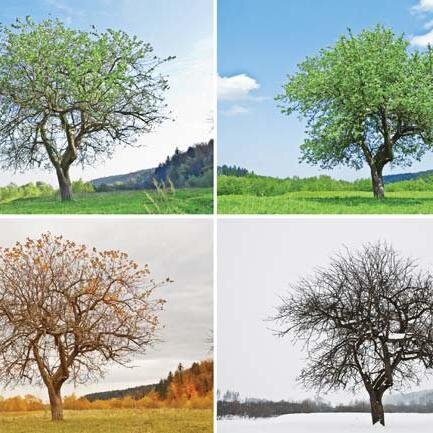 kittelsonburke's profile picture. 