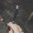 Zara_Francesca's profile image