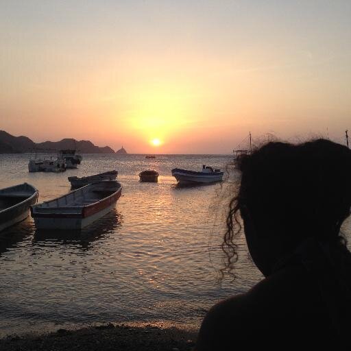 Soñadora de tiempo completo,amante de las palabras, de la música, el mar y la maravillosa creación de Dios.