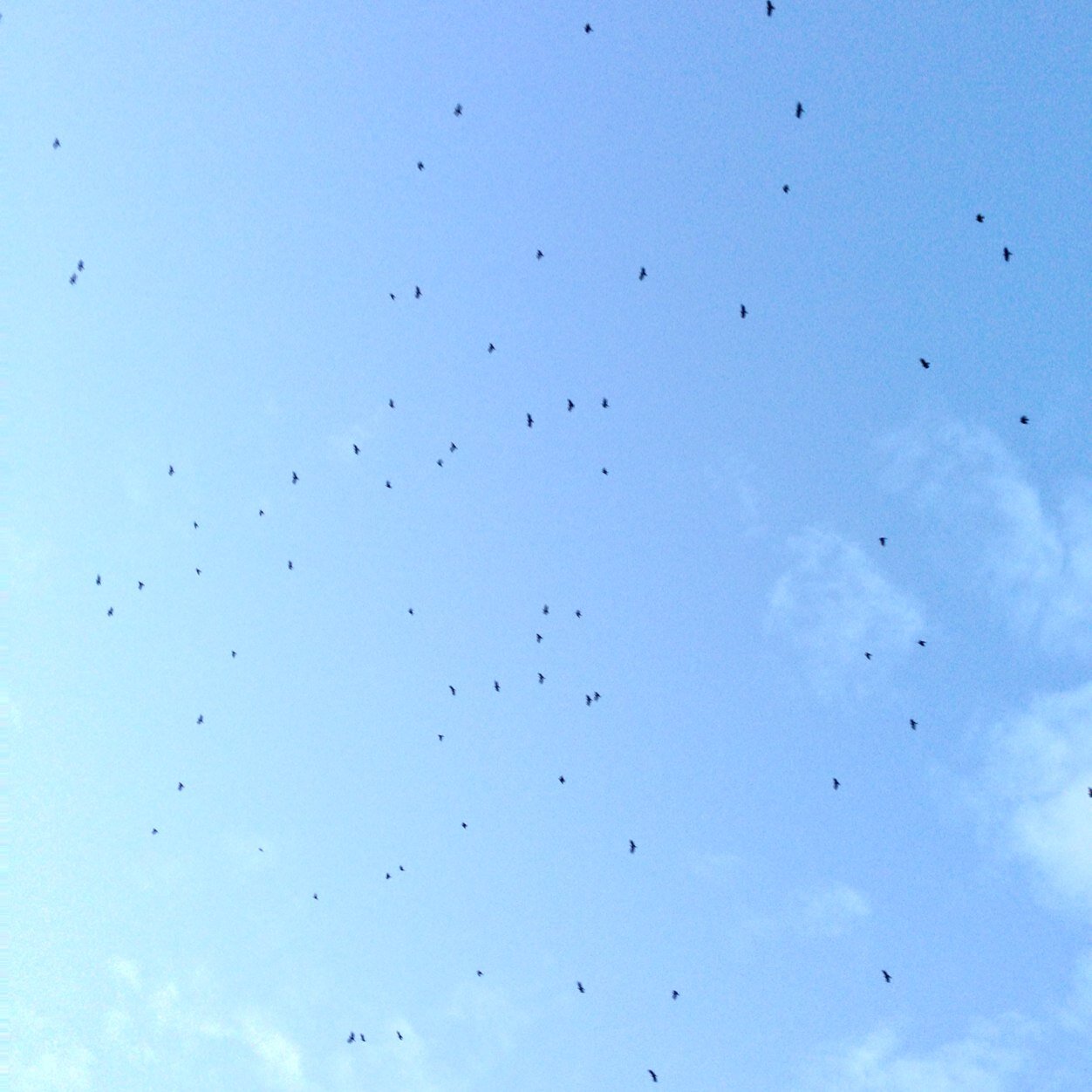 Blake_taaaa's profile picture. I smoke pot and i like it a lot.