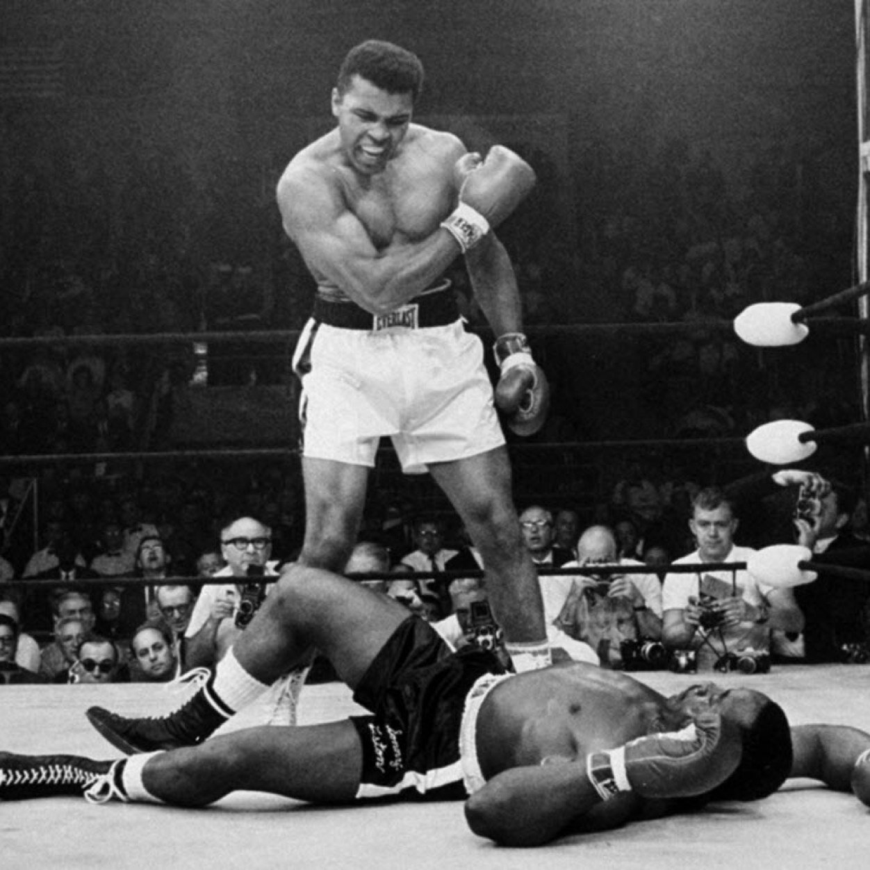 BettaWatchDatBo's profile picture. 