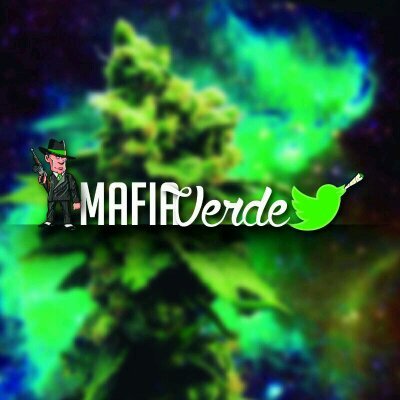 La_Mafia_Verde Profile Picture