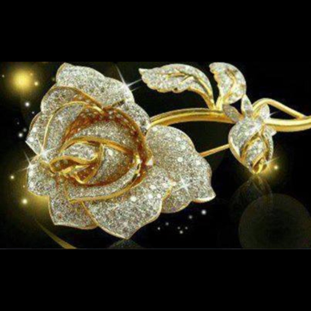 ali_taem's profile picture. 