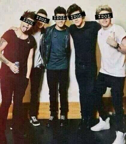 my idols is One Direction and Demi Lovato♡♡♡