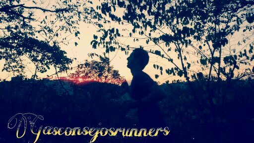 Consejero,runner,writer,lover..