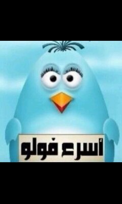 ‏‏‏‏‏‏‏‏‏ للمتواجدين لزياده متابعينك
♦1-تابعني ‎‎‎‎‎‎‎‎@mhmdmhd2010
♦2-ريتويت اذا تبي متابعين
♦3-تابع من يسوي رتويت
♦4-التزم بالشروط لتستفيد