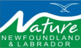 Nature Newfoundland and Labrador is a registered charity promoting the enjoyment & protection of wildlife & natural resources in our province. Join us outdoors!
