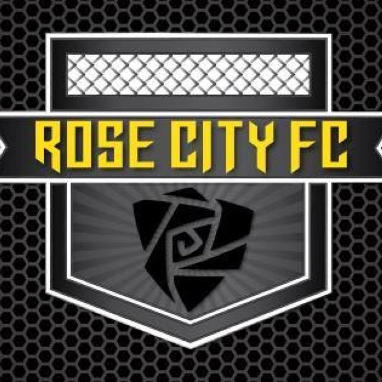 Where the Professionals and future Professionals train.
