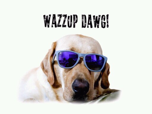 sautier_kaliyah's profile picture. WHAZZUP PEOPLE