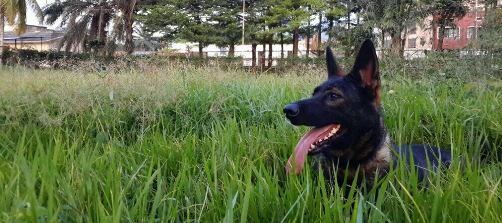 g_kamberis's profile picture. 