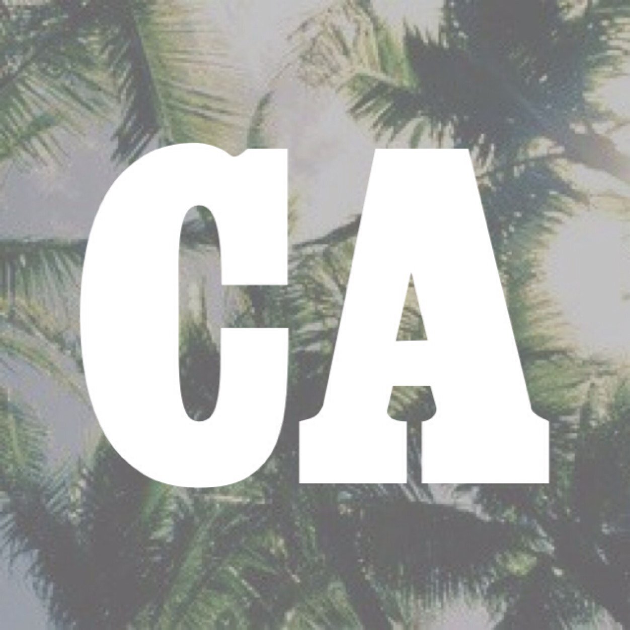 CA is a school for supernatural beings & humans. A place where you can learn how to master powers and get a good education while you're cruising the seven seas.
