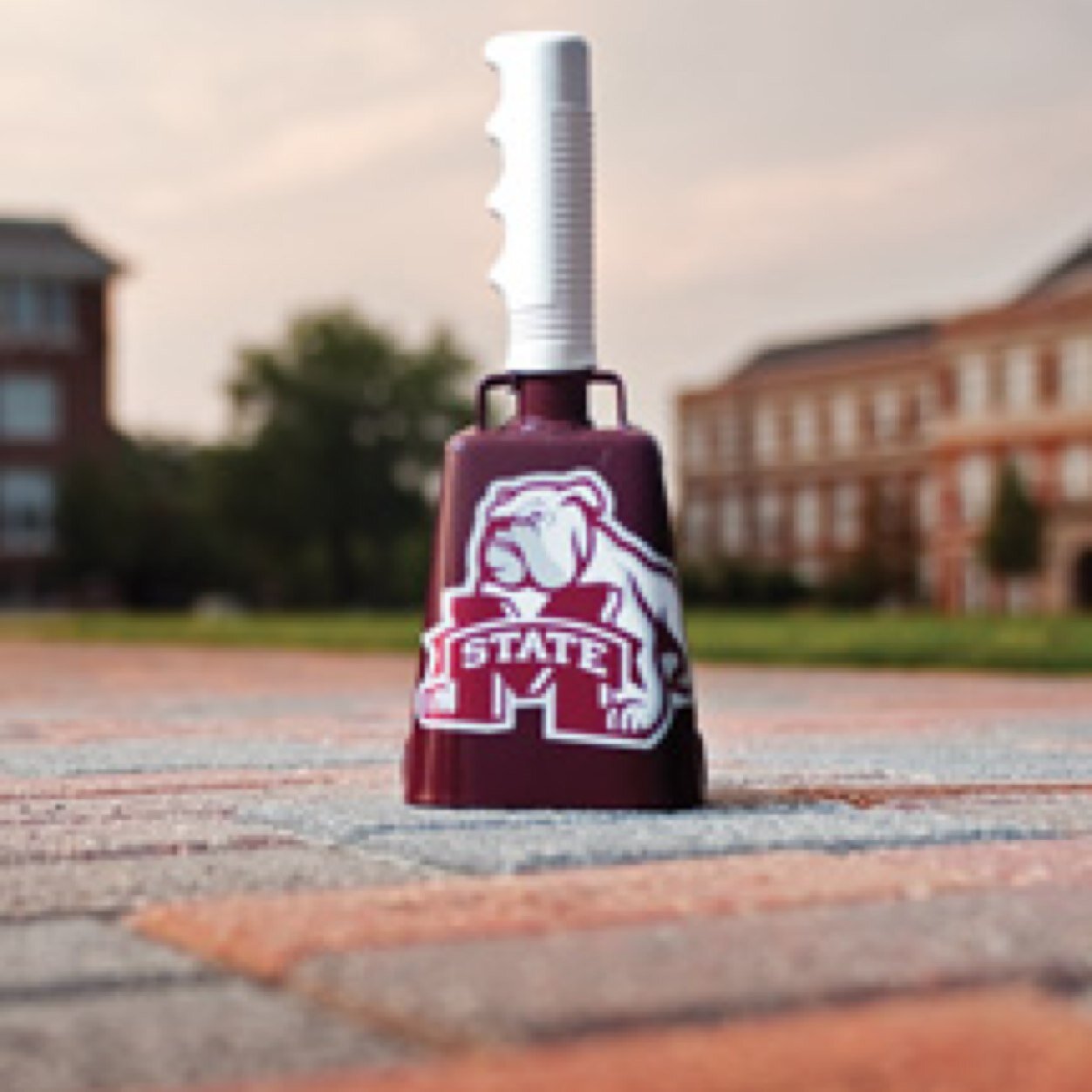 Updates on the 2015 IIE Southeast Regional Conference #hailstate