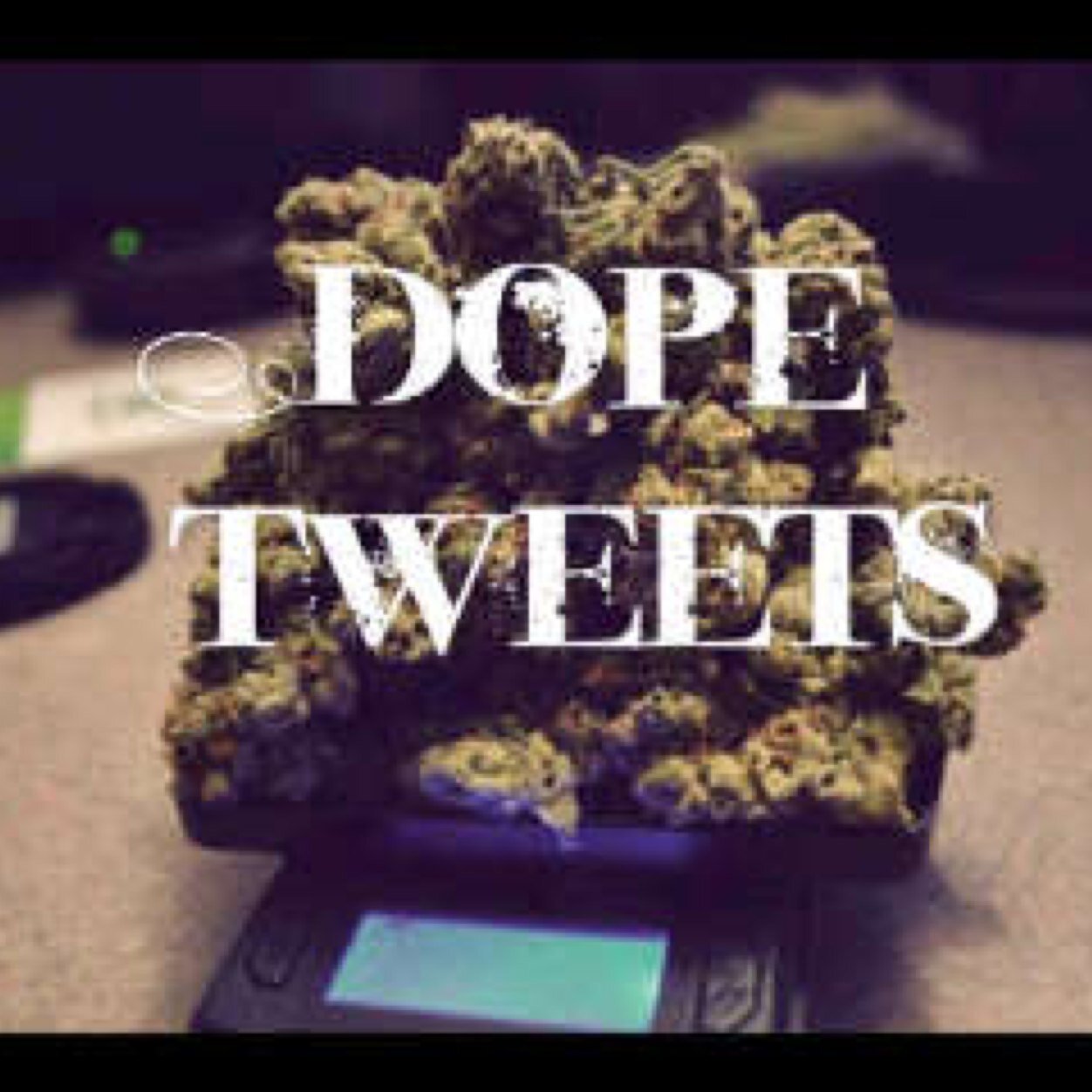 i sometimes tweet dope shit. #teamfollowback California