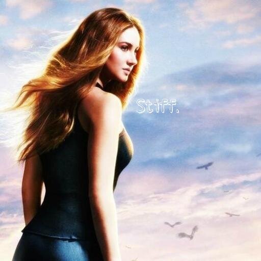 Abnegation was never for me, I'm selfish. I want to indulge in pleasure, I want to see myself. I am Divergent. {Divergent RP/Semi-Literate}