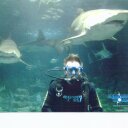 Mick Reid - @micinqld - Twitter