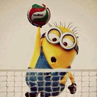 volball_kotab14's profile picture. we were all together for the pursuit of ideals(҂'̀⌣'́)9 and our family♥