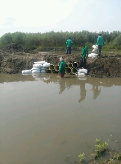 jrsan1707's profile picture. 