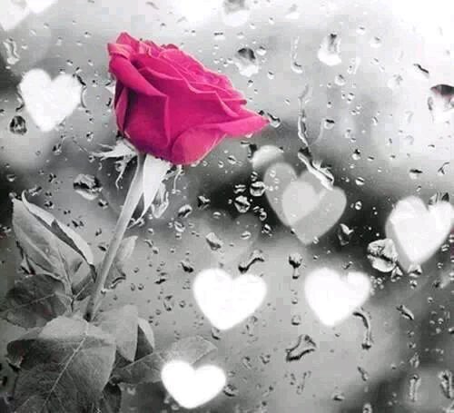 BourdonElodie's profile picture. 