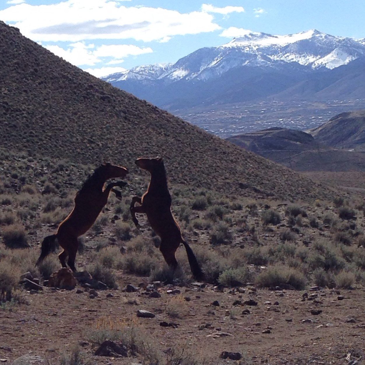 FocusOnGolf's profile picture. 