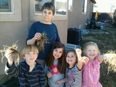 Serious about grassroots!! Grandmother of 18, Mother of nine, Patriot