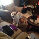 mack brock - @Mmbrock01 - Twitter