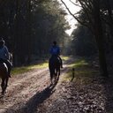 joyce - @joyce89vos - Twitter