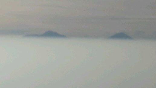 jmichelj's profile picture. Egresado de UTSA Dedicado de lleno y con mucho amor al comercio internacional entre México-USA-Brasil-China-centroamerica-Caribe