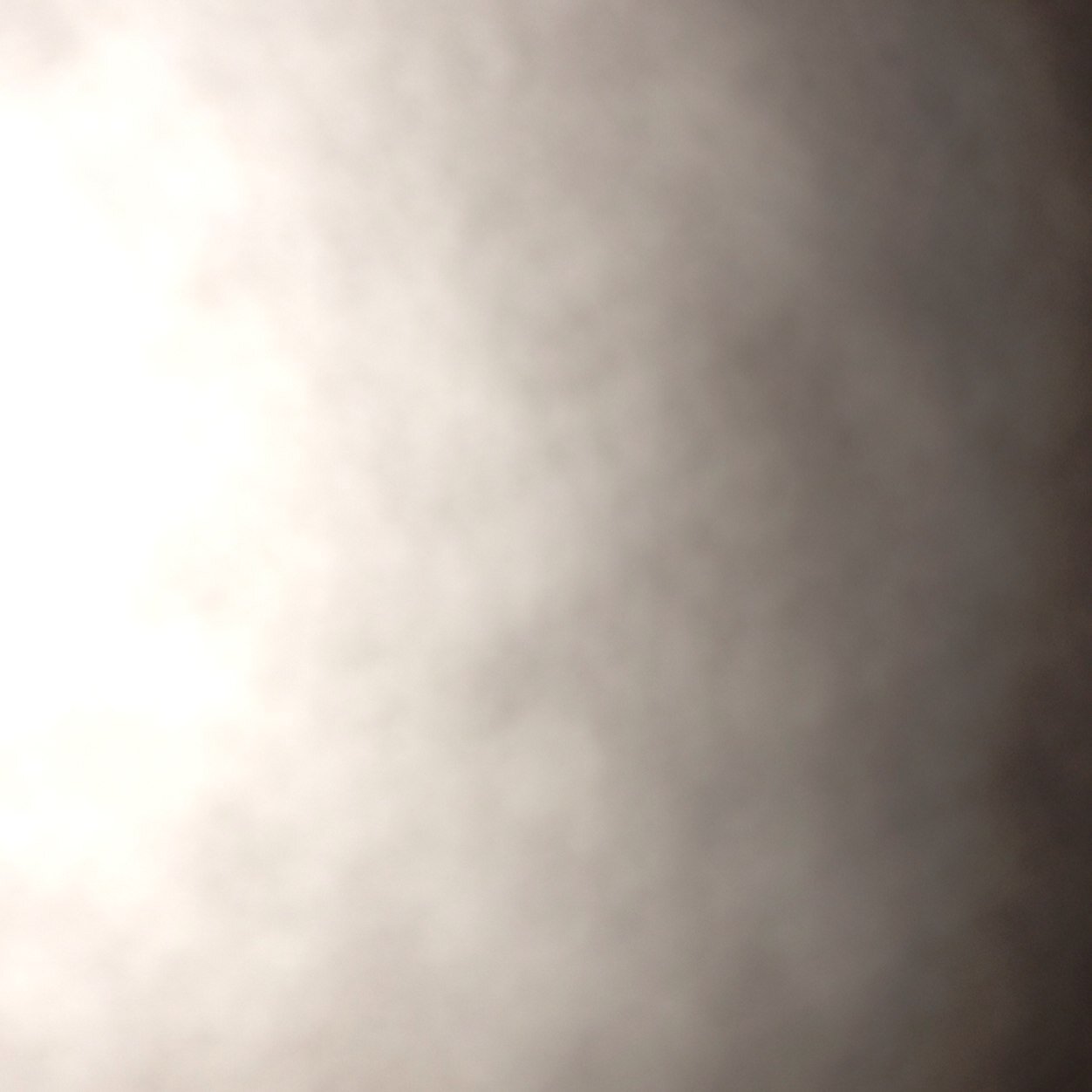 hpig_'s profile picture. 