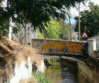 misabelroger's profile picture. 