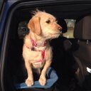 Jane Lance - @janeyjanelance - Twitter