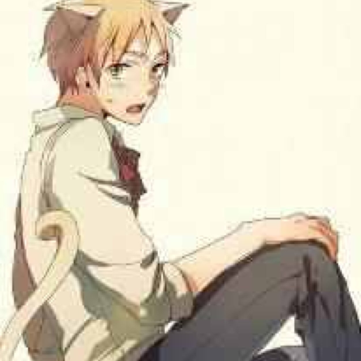 The life of a cat is grand. Especially when you have a luxurious home and an owner to share it with~ || #Hetalia #RP #18+ ||