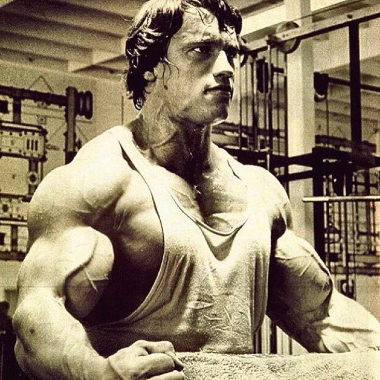 STAY FIT ALL DAY EVERYDAY