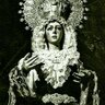 PalermoMacareno's profile picture. MACARENO Y BÉTICO POR LA GRACIA DE DIOS.