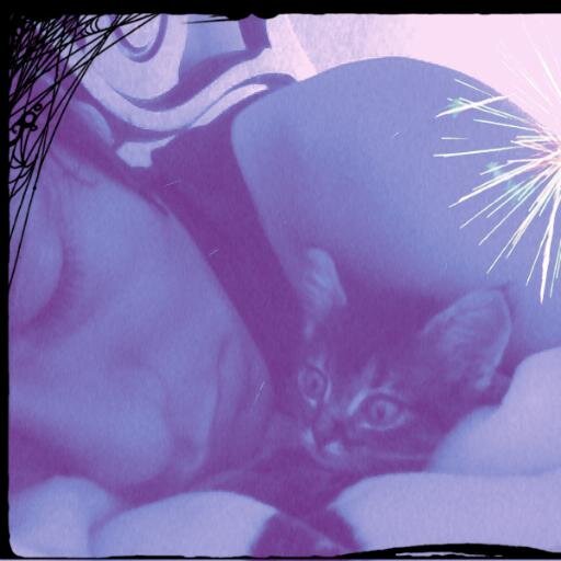 Hola soy David amo el rock y metal y a los gatos y ademas tengo lo mejor k me ha pasado en al vida mi gatita