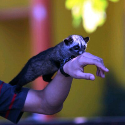 Reza (@RezaPutraKh) | Twitter