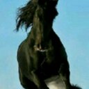 Fernando Bello - @FernandoBellov - Twitter