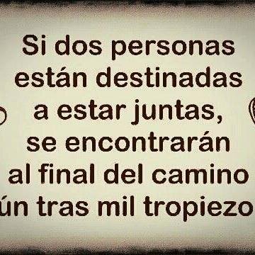 evelin2310's profile picture. 