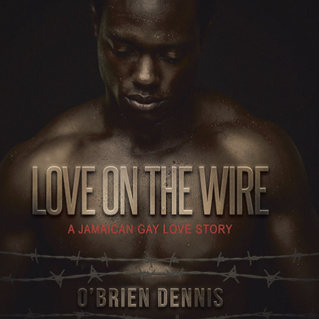 Author of Love On The Wire, The Cries of Men and Understanding Male Sexual Abuse and the Executive Director of the O'Brien Dennis Foundation.